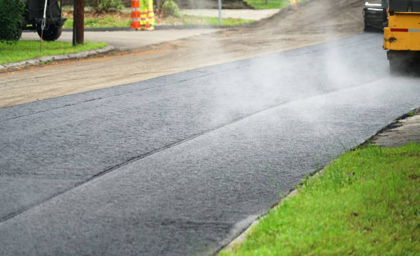 Best Driveway Paving Contractor  in Carlsbad, NM